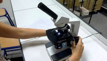 meilleurs microscopes