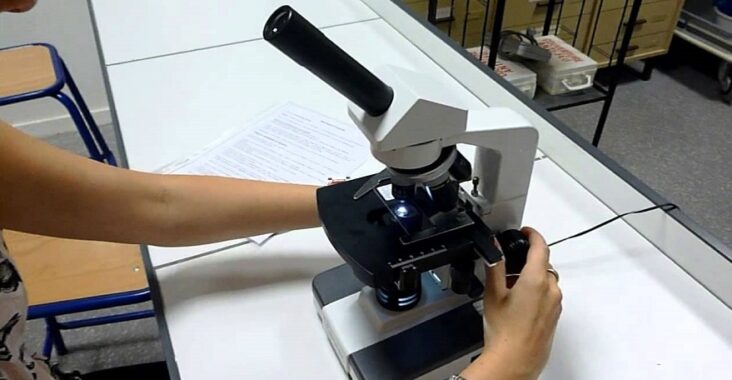 meilleurs microscopes